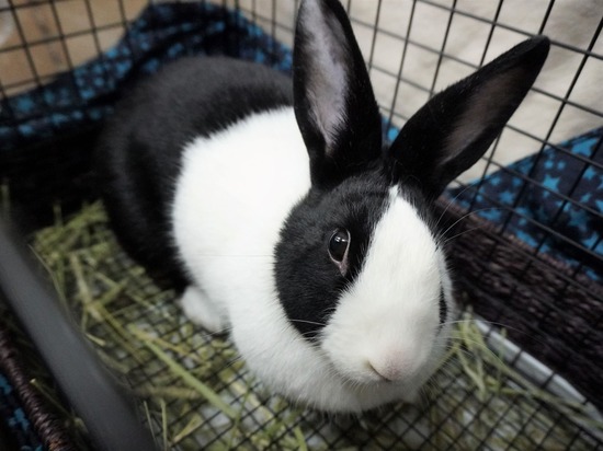 230114るりDSC04793