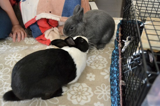 211003 powa DSC_1282 (2)