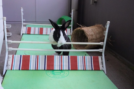 20230503げんDSC08775