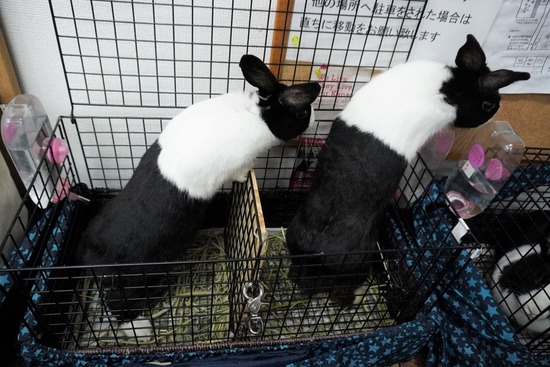 230114あい＆まつDSC04759