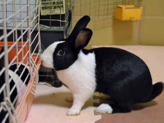 210723 ビーツDSC_0299 (2)