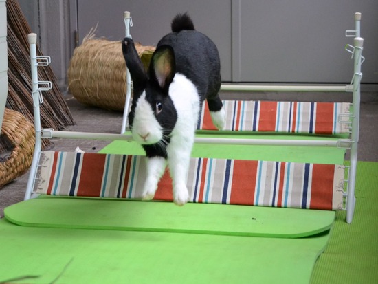 210912 bi2 DSC_2915 (2)