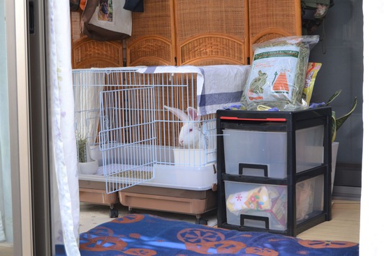 210403 DSC_2081 (2)