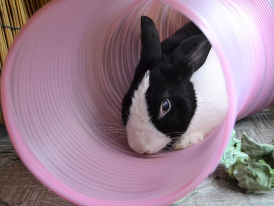 210912 bi2 DSC_3012 (2)