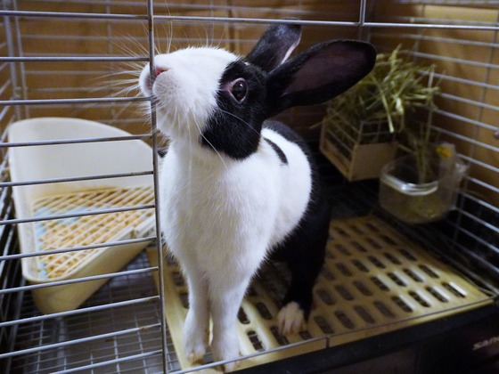 20230512chaiDSC00298