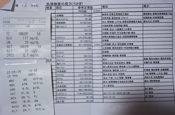 220506komaDSC04673 (2)