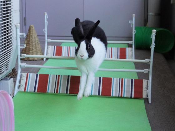 220306KOMADSC08374 (2)