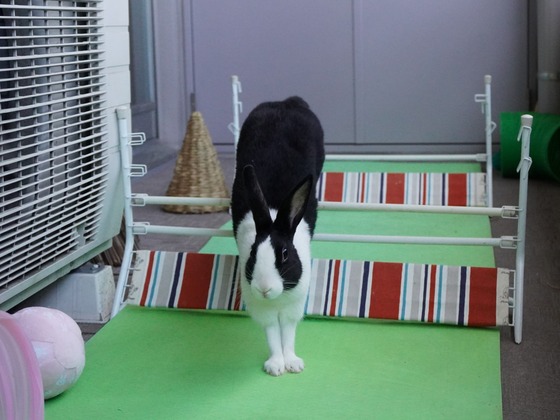 220306KOMADSC08535 (2)