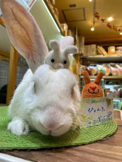 o1080144015508014324