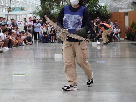 DSC01272