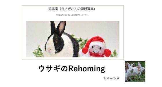 Web キャプチャ_10-7-2022_143710_