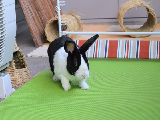 200921 DSC_0226_1 (2)