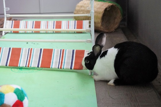 20230429ちゃいDSC07122