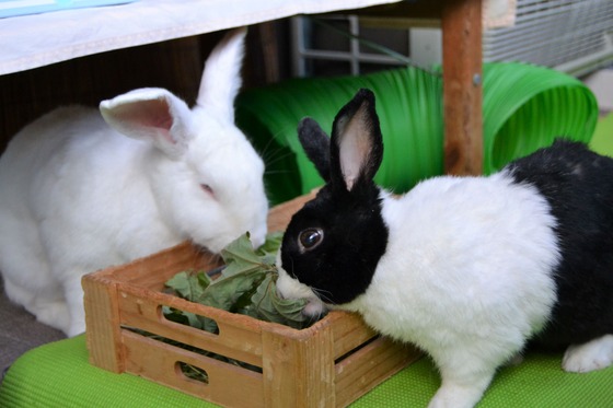 200921 DSC_0175_1 (2)