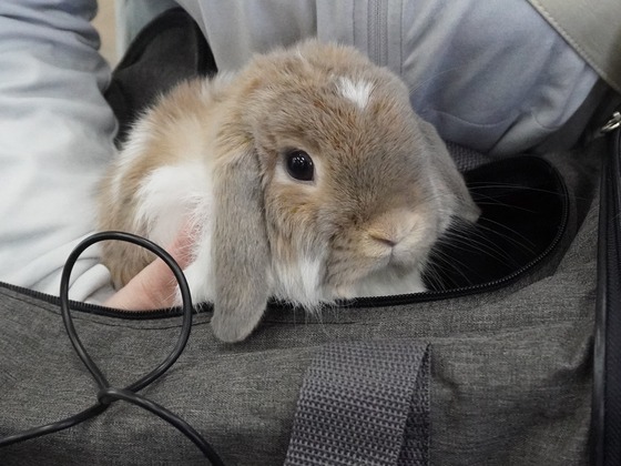 DSC02553ひなたくん