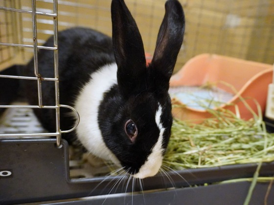 221204もなかDSC03933 (2)