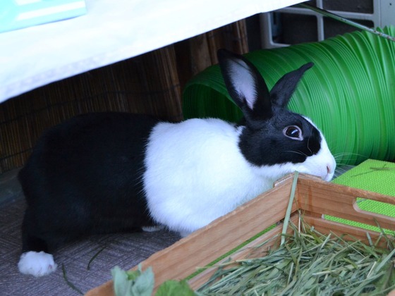 200921 DSC_0050_1 (2)