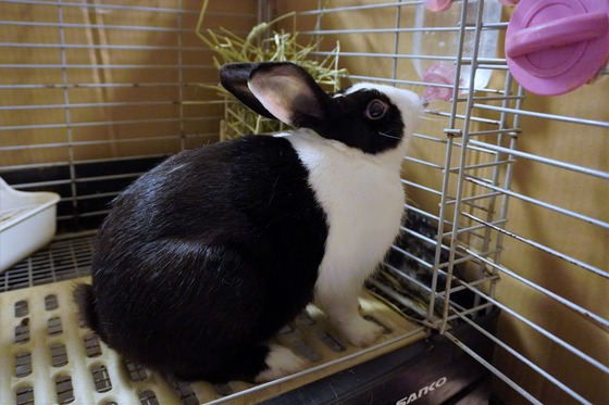 20230512chaiDSC00293