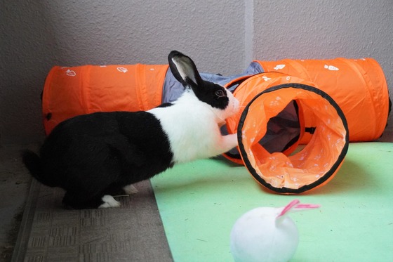 20230429ちゃいDSC07117