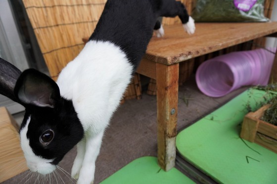 220515komaDSC05818 (2)