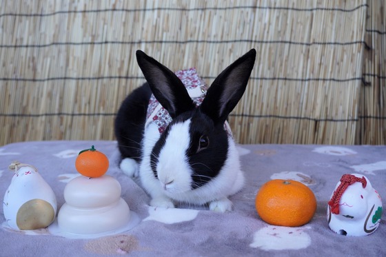 220101komaDSC00360 (2)