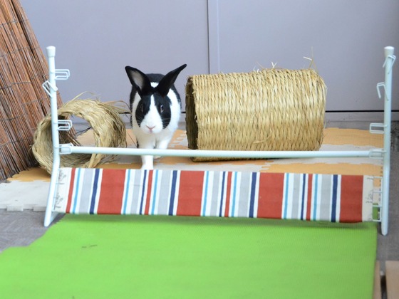 200921 DSC_0009_1 (2)