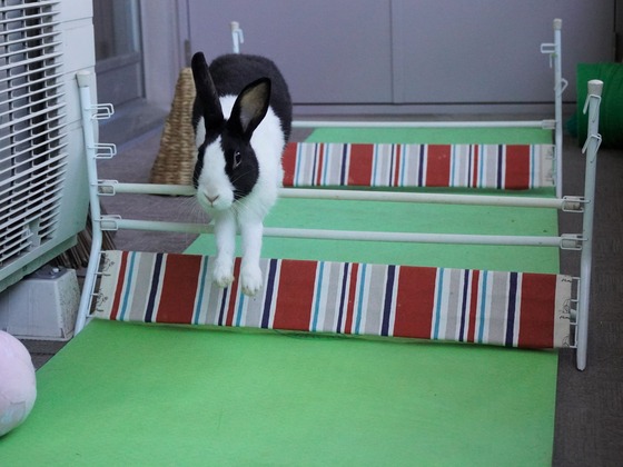 220306KOMADSC08462 (2)