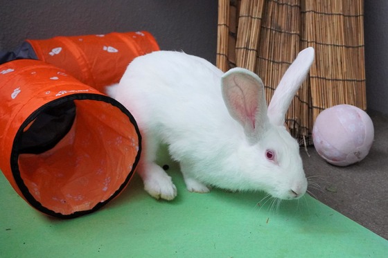 20230429QDSC07221 (2)