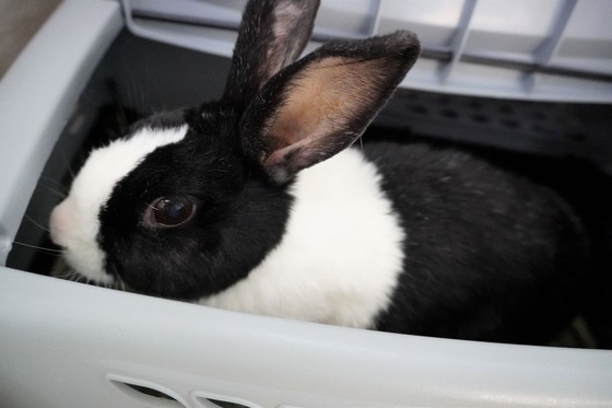 220312muuDSC09360 (2)