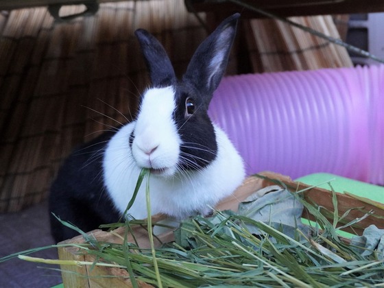 220306KOMADSC08297 (2)