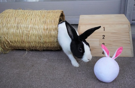 220306KOMADSC08386 (2)