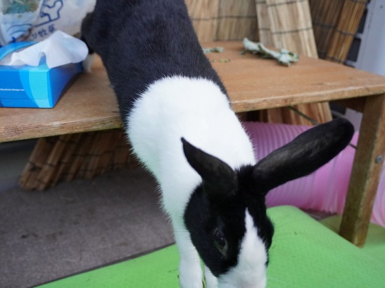 220306KOMADSC08562 (2)