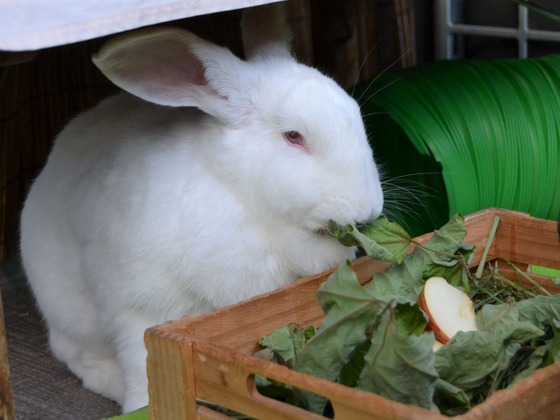 200921 DSC_0171_1 (2)