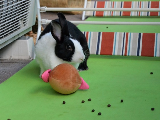 211010 okki DSC_1647 (2)