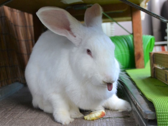 200921 DSC_0195_1 (2)