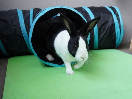 220306KOMADSC08502 (2)