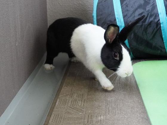 220515komaDSC05729 (2)