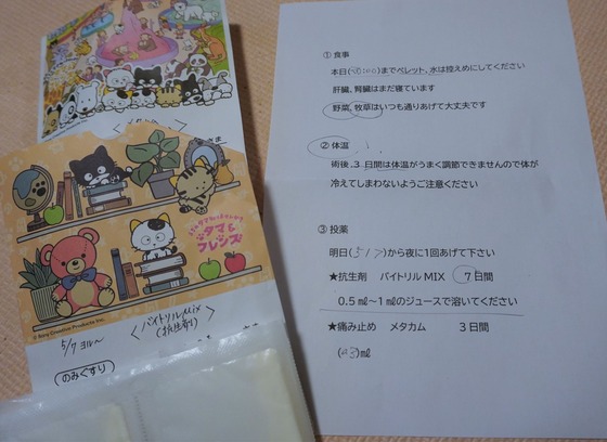 220506komaDSC04669 (2)