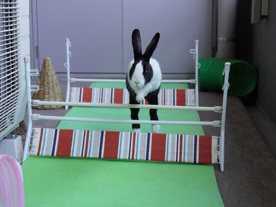 220306KOMADSC08373 (2)