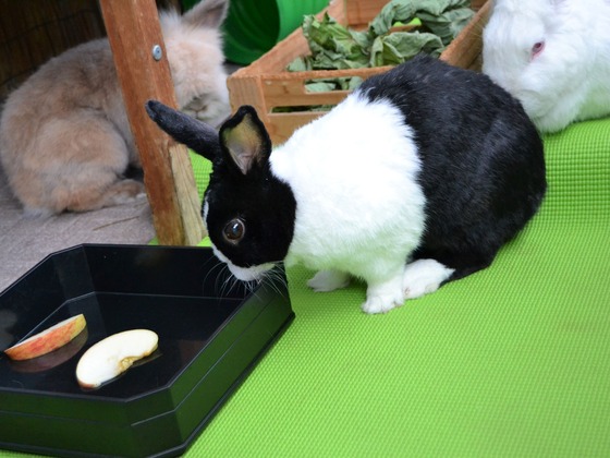 200921 DSC_0109_1 (2)