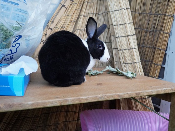 220306KOMADSC08544 (2)