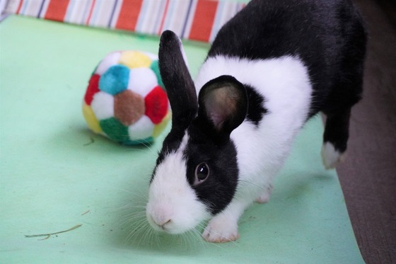 20230429ちゃいDSC07123