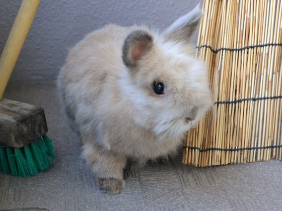 200921 DSC_0257_1 (2)