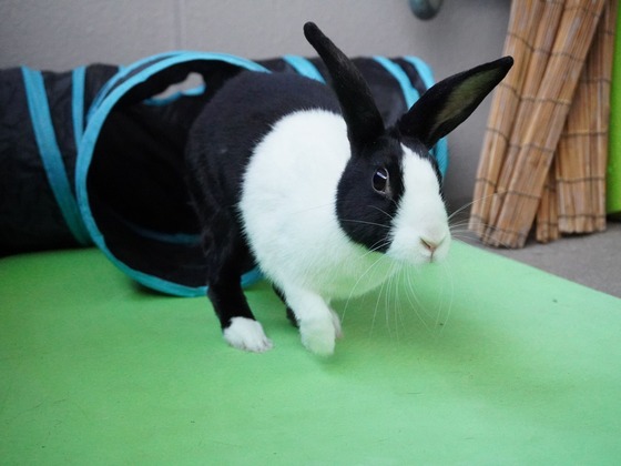 220306KOMADSC08504 (2)