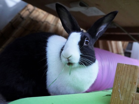 220306KOMADSC08412 (2)