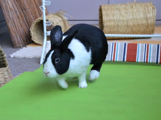 200921 DSC_0082_1 (2)