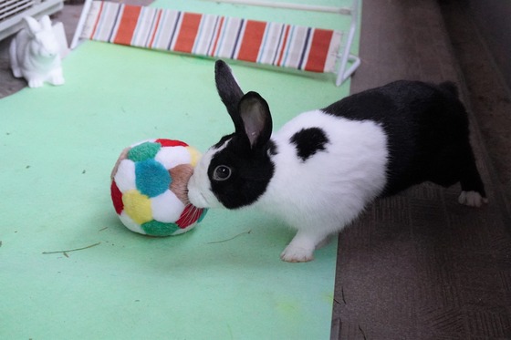 20230429ちゃいDSC07142