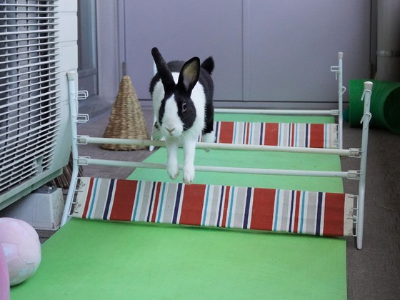 220306KOMADSC08534 (2)