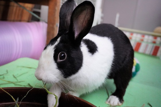 20230429ちゃいDSC07147