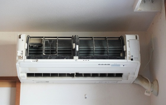 20220522DSC06691 (2)